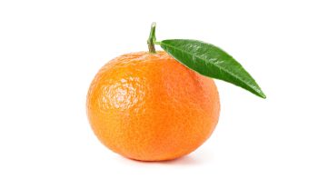 vendita online di clementine hernandina